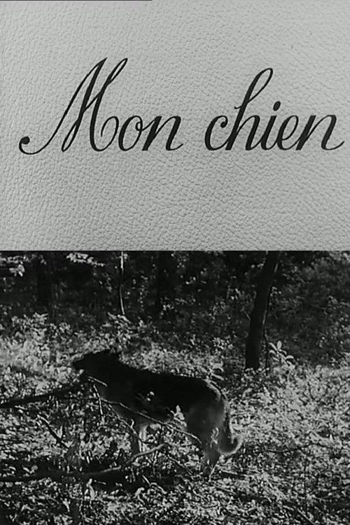 Mon chien 1955 official movie poster