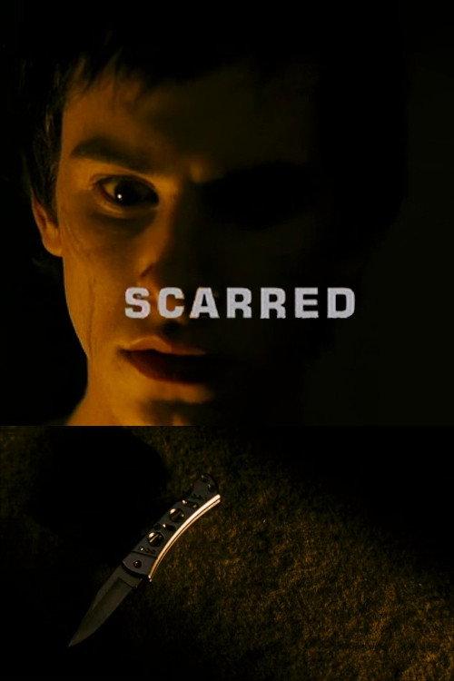 Scarred 2007 official movie poster