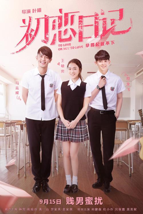 To Love or Not to Love 2017 official movie poster