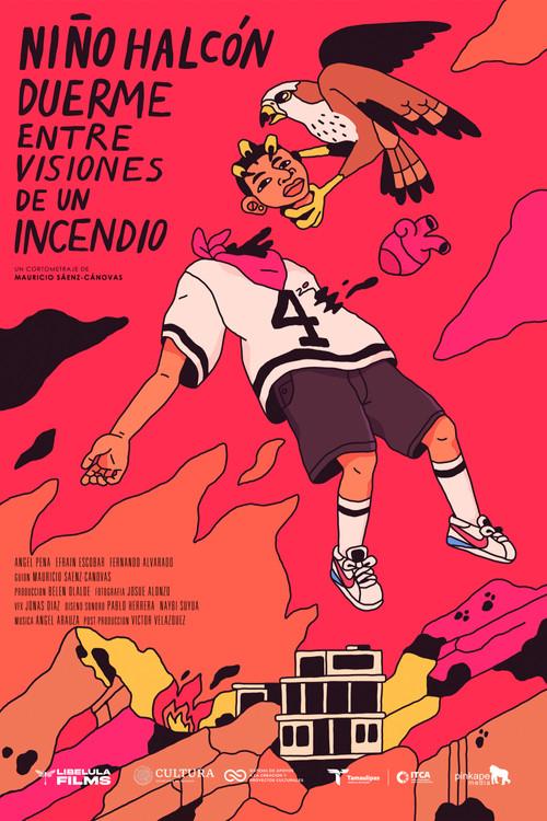 Hawk Boy Sleeps Amidst Visions of a Fire 2024 official movie poster