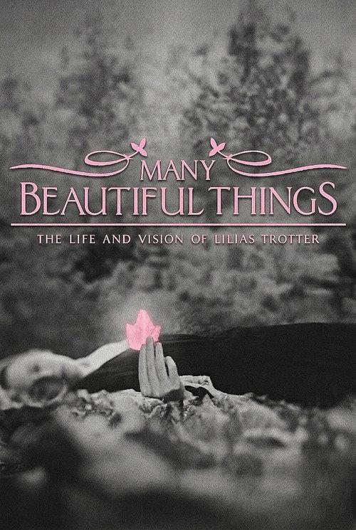 Many Beautiful Things 2015 official movie poster