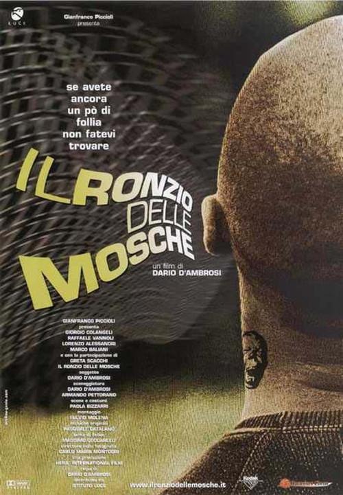 Il ronzio delle mosche 2003 official movie poster