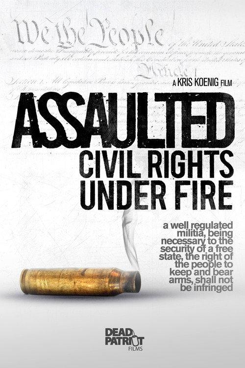 Assaulted: Civil Rights Under Fire 2013 official movie poster