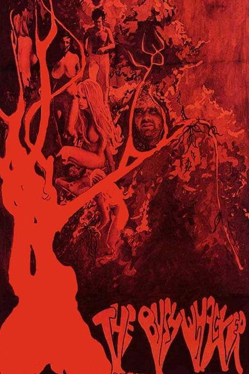 The Bushwhacker 1968 official movie poster