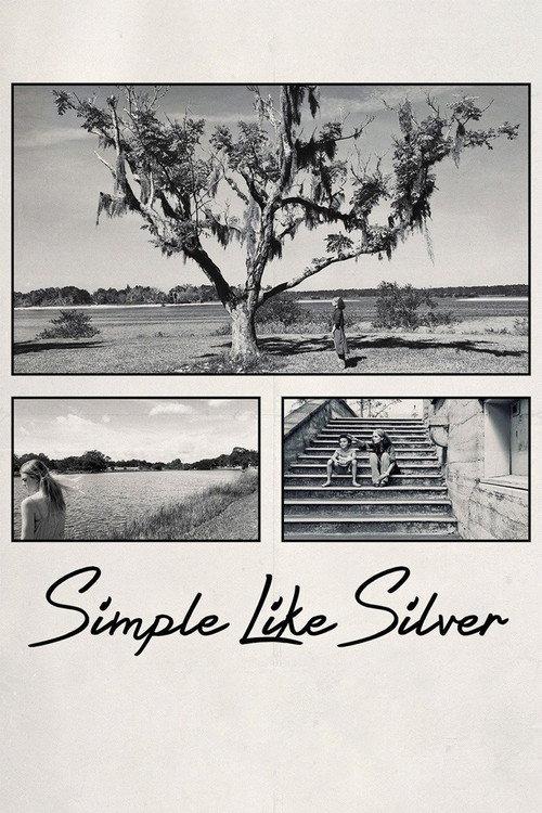 Simple Like Silver 2021 official movie poster