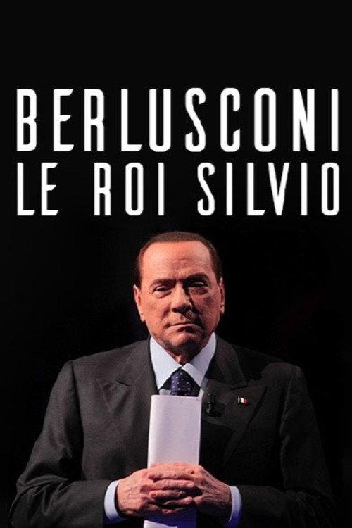 Berlusconi, le roi Silvio 2014 official movie poster
