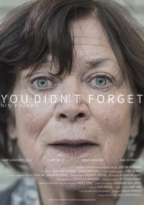 You Didn't Forget 2016 official movie poster
