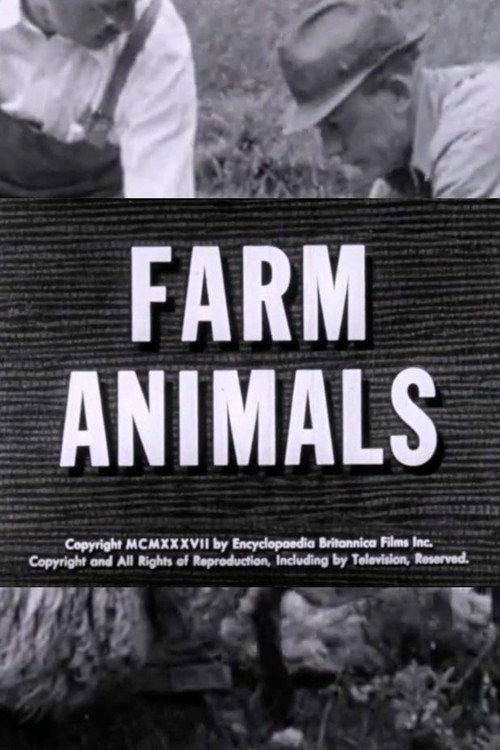 Farm Animals 1937 official movie poster