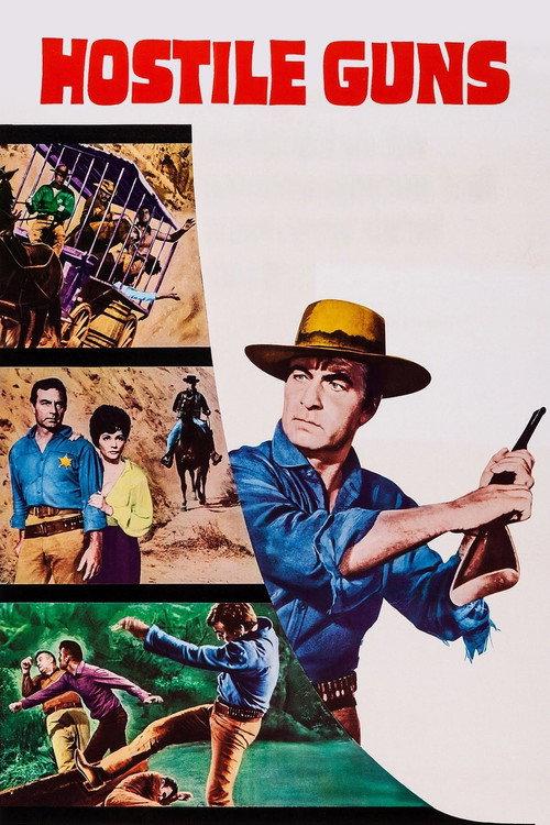Hostile Guns 1967 official movie poster