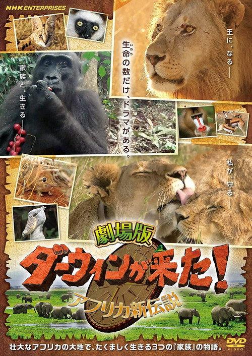 Darwin is here! new african legend 2019 official movie poster