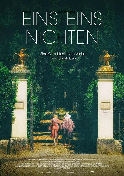 Einsteins Nichten 2017 official movie poster
