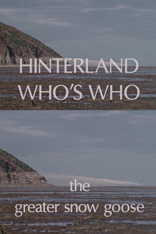 Hinterland Who's Who: The Greater Snow Goose 1978 official movie poster