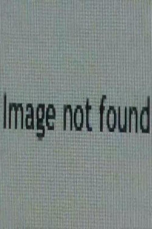 Image Not Found 2013 official movie poster
