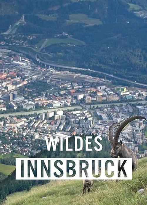 Wildes Innsbruck: Zwischen Moderne und alpiner Wildnis 2021 official movie poster