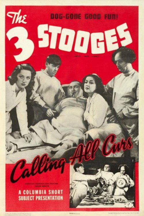 Calling All Curs 1939 official movie poster