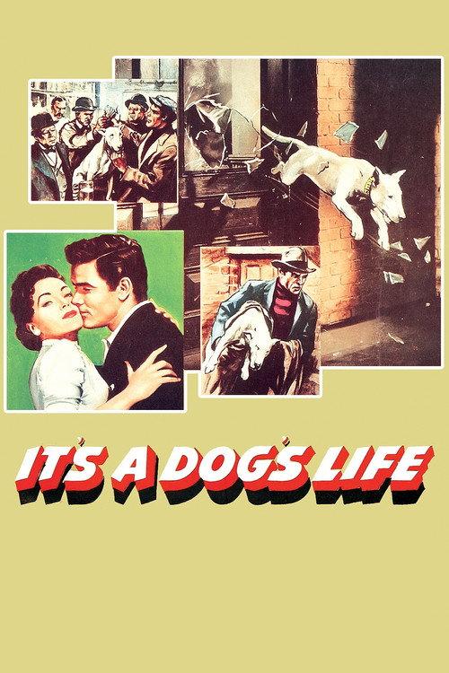 It's a Dog's Life 1955 official movie poster