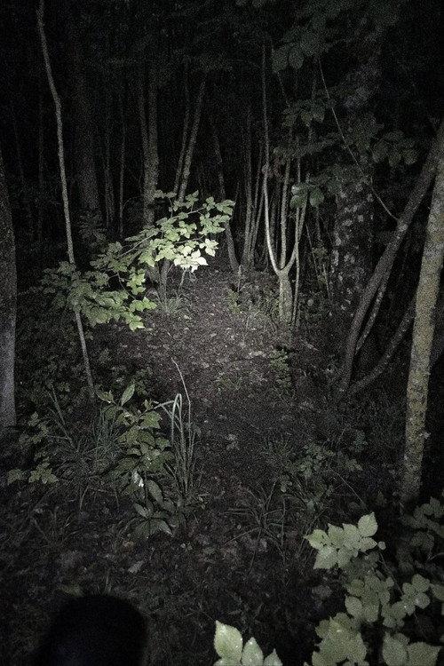 Untitled Found Footage Project  official movie poster