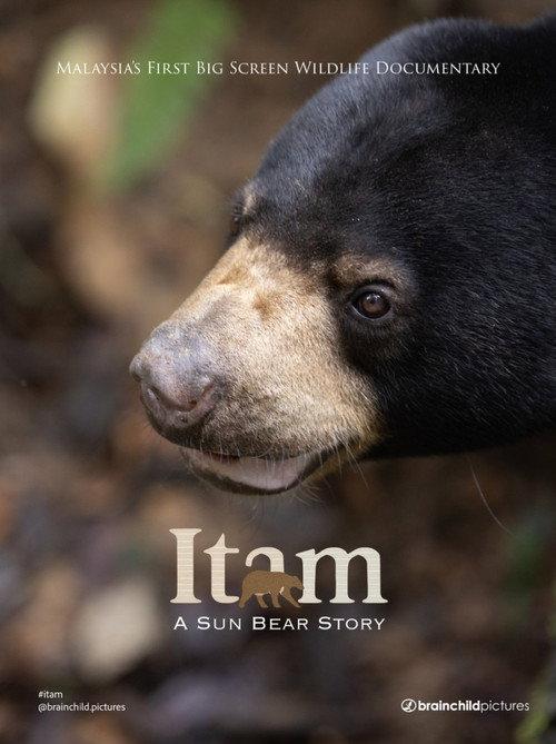 Itam: A Sun Bear Story 2026 official movie poster