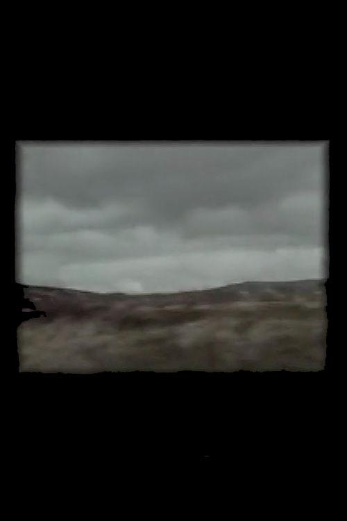 Stravaig / Errance 1999 official movie poster