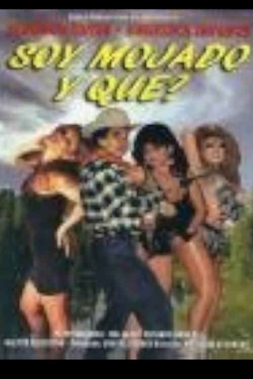 Soy mojado ¿y qué? 1997 official movie poster