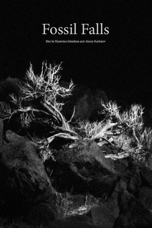 Fossil Falls 2019 official movie poster