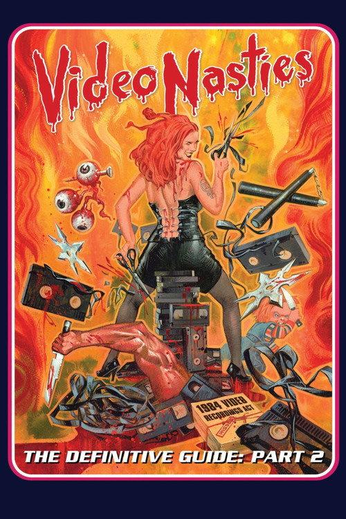 Video Nasties - The Definitive Guide Part 2 - The Section 3 List A-L 2014 official movie poster