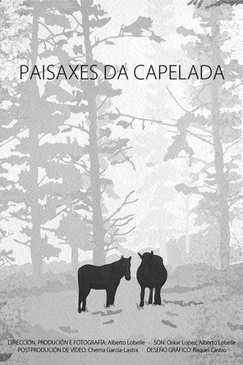 Landscapes of A Capelada 2017 official movie poster
