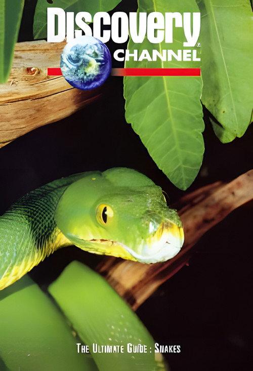 The Ultimate Guide: Snakes 1997 official movie poster