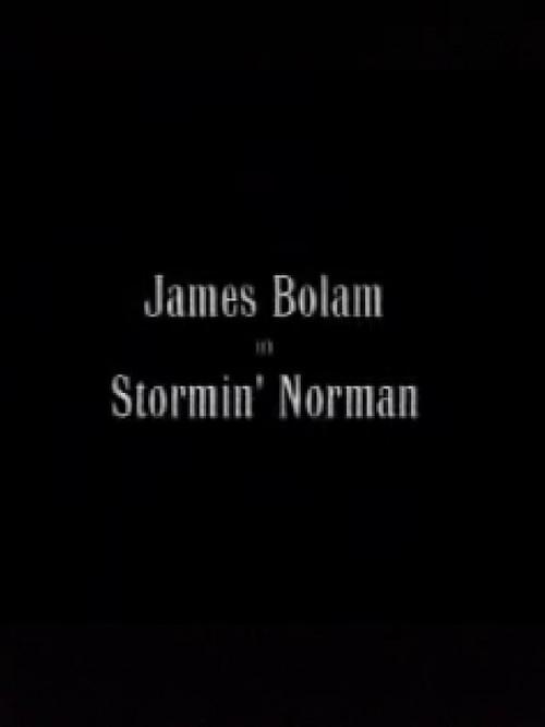 Stormin' Norman 2000 official movie poster