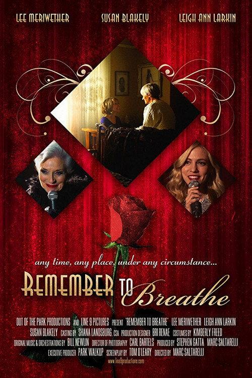 Remember to Breathe 2013 official movie poster