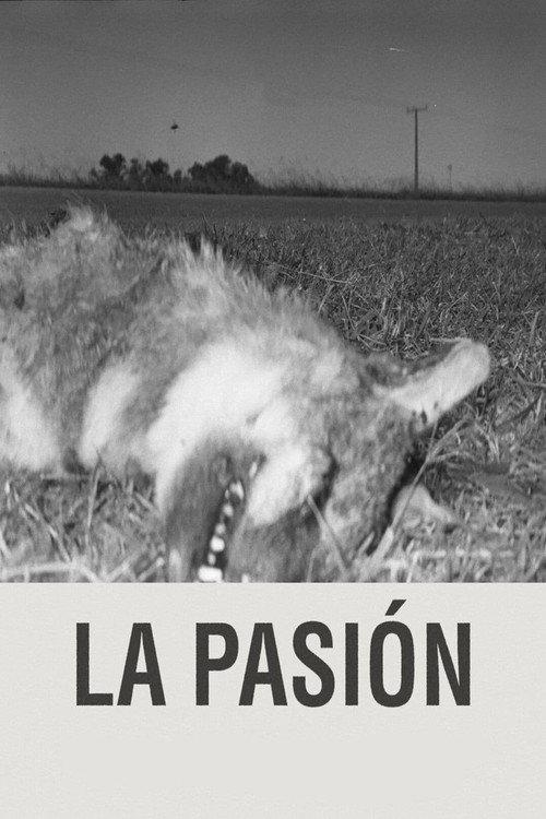 The Passion 2024 official movie poster