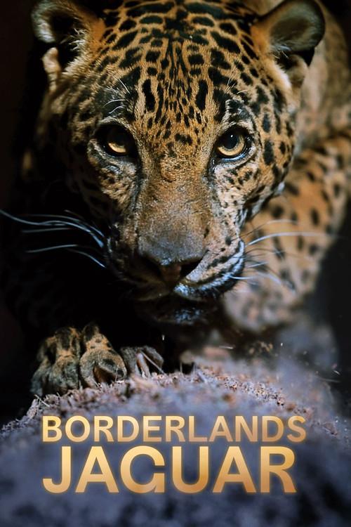 Borderlands Jaguar 2026 official movie poster