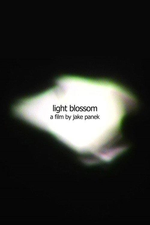 light blossom 2025 official movie poster
