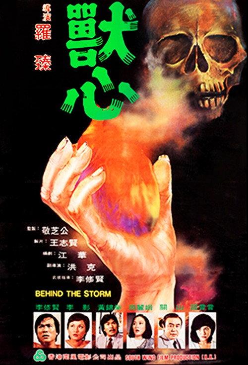 Behind the Storm 1982 official movie poster