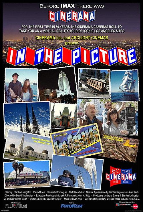 In the Picture 2012 official movie poster