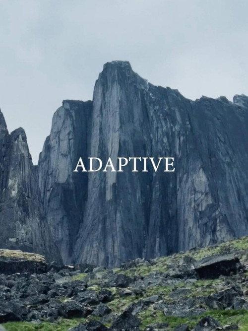Adaptive 2019 official movie poster