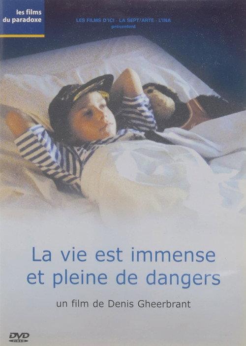 Life Is Boundless and Full of Dangers 1995 official movie poster
