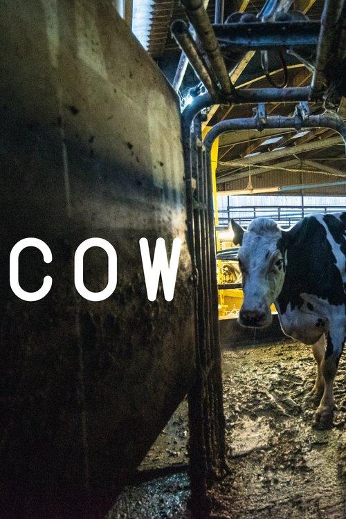 Cow 2022 official movie poster