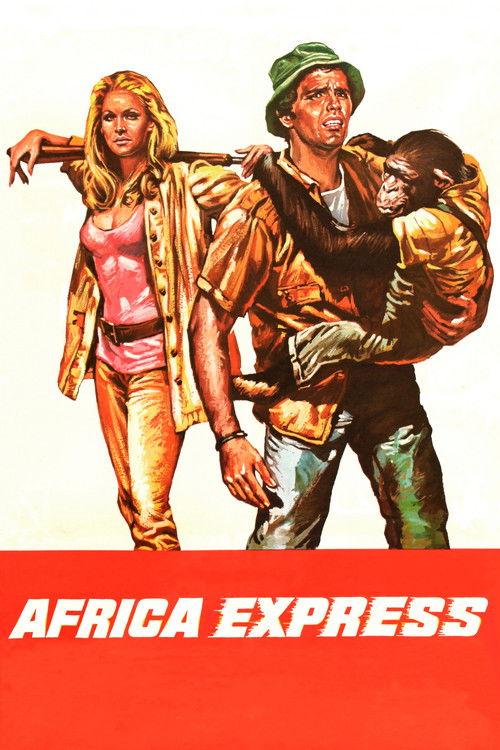 Africa Express 1975 official movie poster