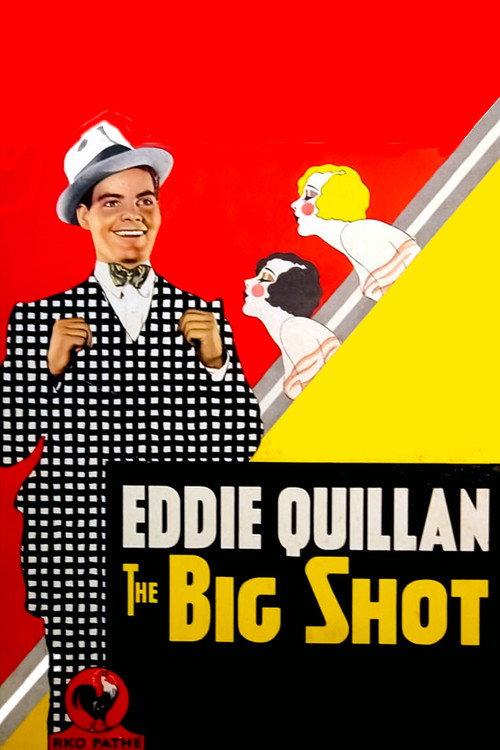 The Big Shot 1931 official movie poster