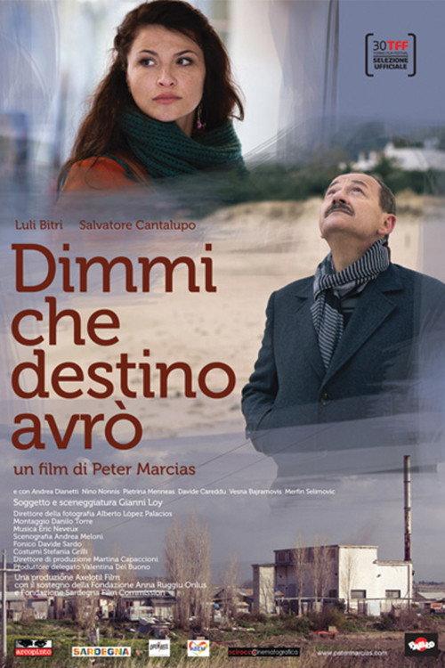 Dimmi che destino avrò 2012 official movie poster