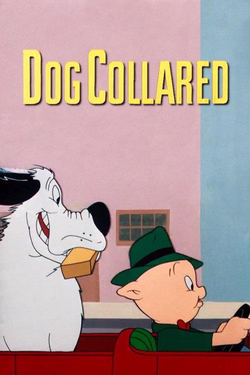 Dog Collared 1950 official movie poster