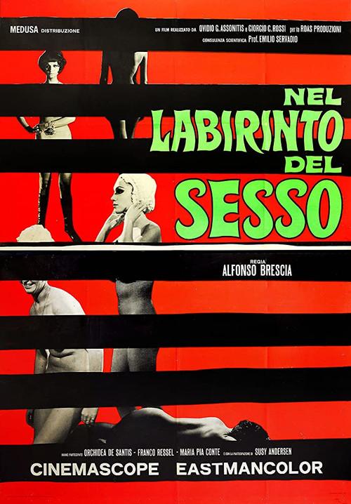 The Labyrinth of Sex 1969 official movie poster