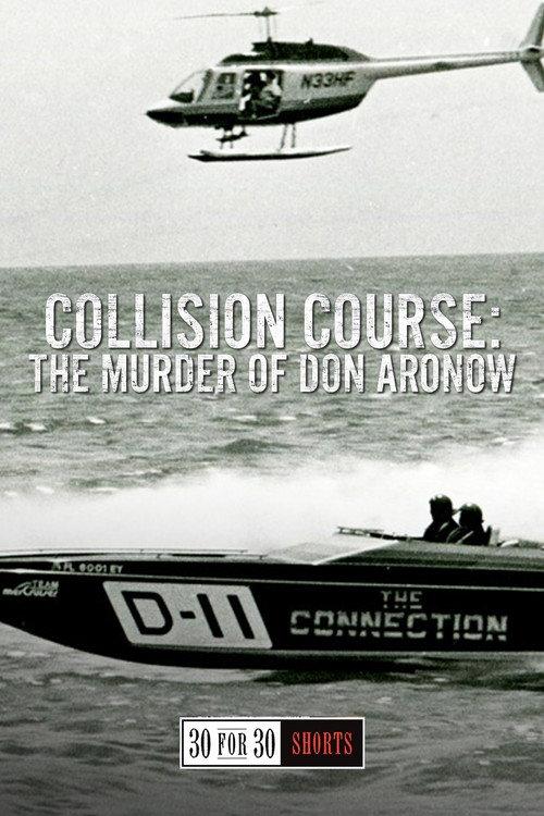 Collision Course: The Murder of Don Aronow 2013 official movie poster