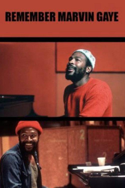 Remember Marvin Gaye 2002 official movie poster