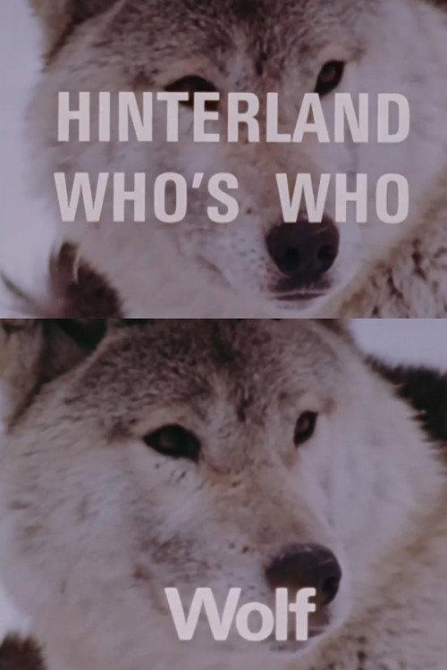 Hinterland Who's Who: Wolf 1972 official movie poster