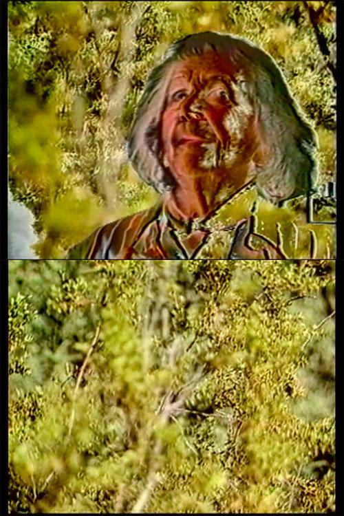 Lilith 1987 official movie poster