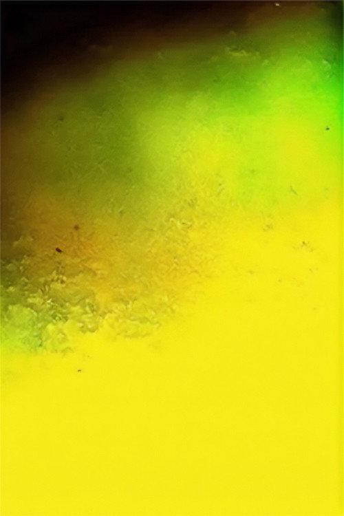 Translation Series 2000 official movie poster