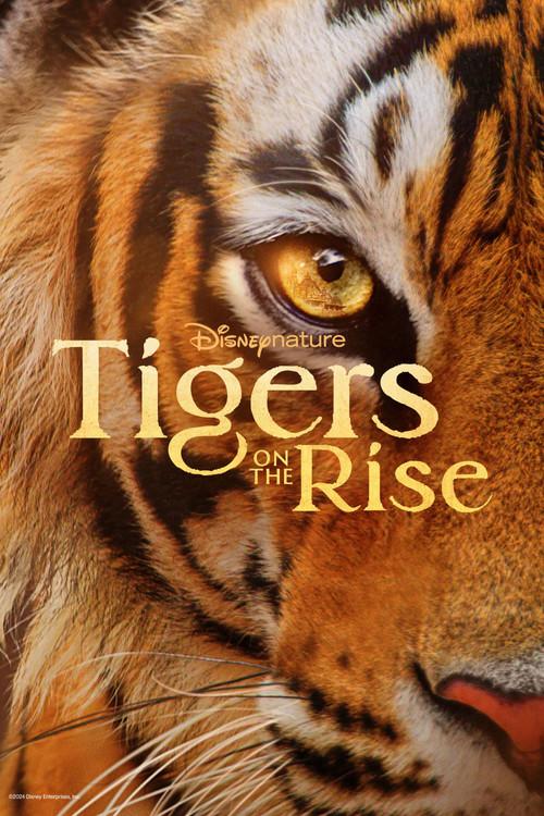 Tigers on the Rise 2024 official movie poster