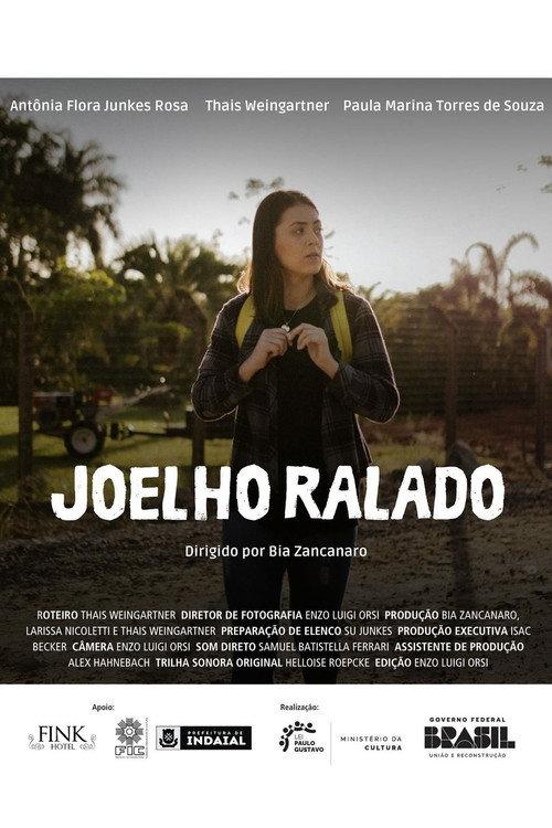 Joelho Ralado 2024 official movie poster